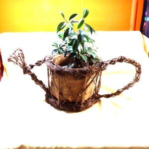 HUGE  (24 In Wide ) Unusual > > >  PLANTER < < <  Indoors Only
